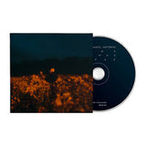 Benjamin Francis Leftwich - Some Things Break