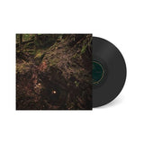 Baptists - Bloodmines