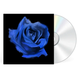 Current Joys - Rosebud