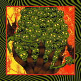 King Gizzard & The Lizard Wizard - King Gizzard: Live in Houston '24