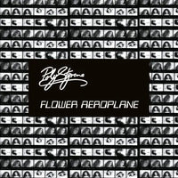 Poly Styrene - Flower Aeroplane (RSD 2025)