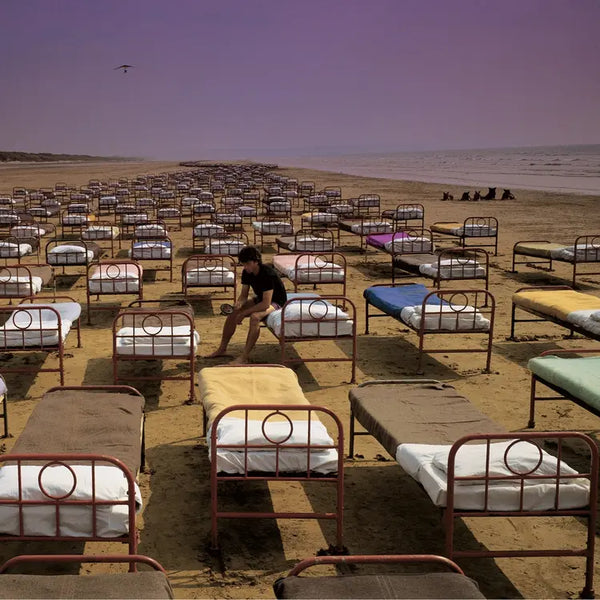 Pink Floyd - A Momentary Lapse Of Reason (2025 Release)