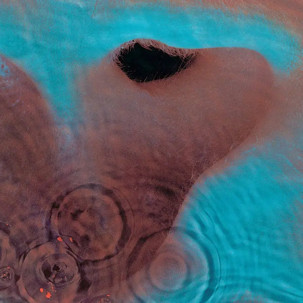 Pink Floyd - Meddle (2025 Release)