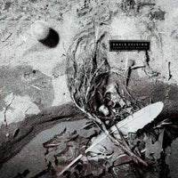 David Sylvian - Secrets of the Beehive (2025 Reissue)