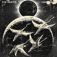 The Ducks - High Flyin'