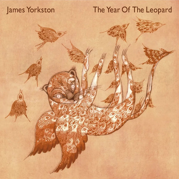 James Yorkston - The Year Of The Leopard (2023 Reissue)