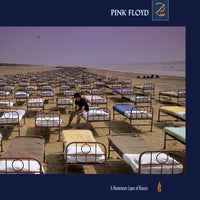 Pink Floyd - A Momentary Lapse Of Reason (2011 Remastered Version)