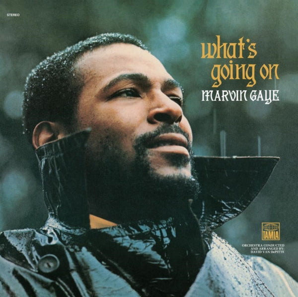 Marvin Gaye - What's Going On