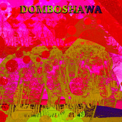 Domboshawa - Beyond Vibrations