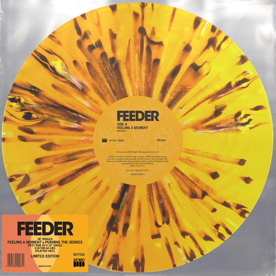 Feeder - Feeling A Moment (RSD20)