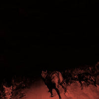 Bambara - Shadow On Everything (2020 Reissue)