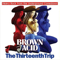 Various Artists - Brown Acid: The Thirteenth Trip