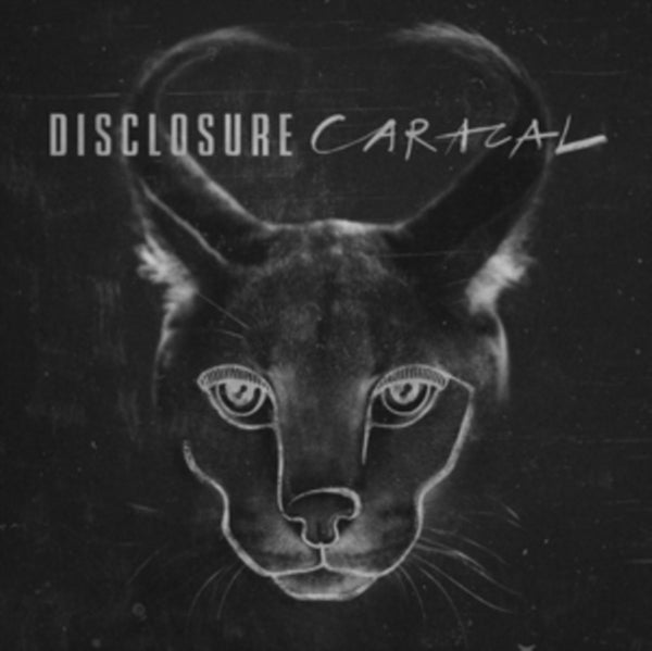 Disclosure - Caracal