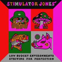 Stimulator Jones - Low Budget Environments Striving For Perfection