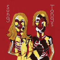 Animal Collective - Sung Tongs (2021 Reissue)