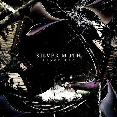 Silver Moth - Black Bay