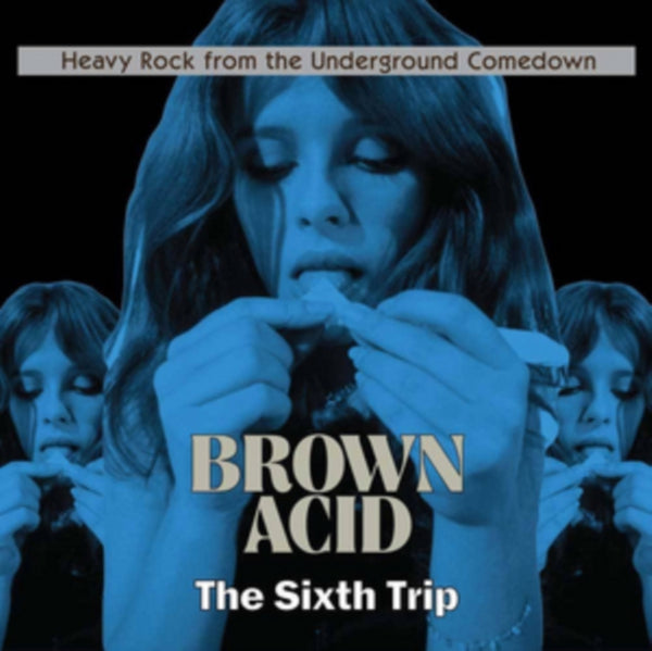 Various Artists - Brown Acid: The Sixth Trip